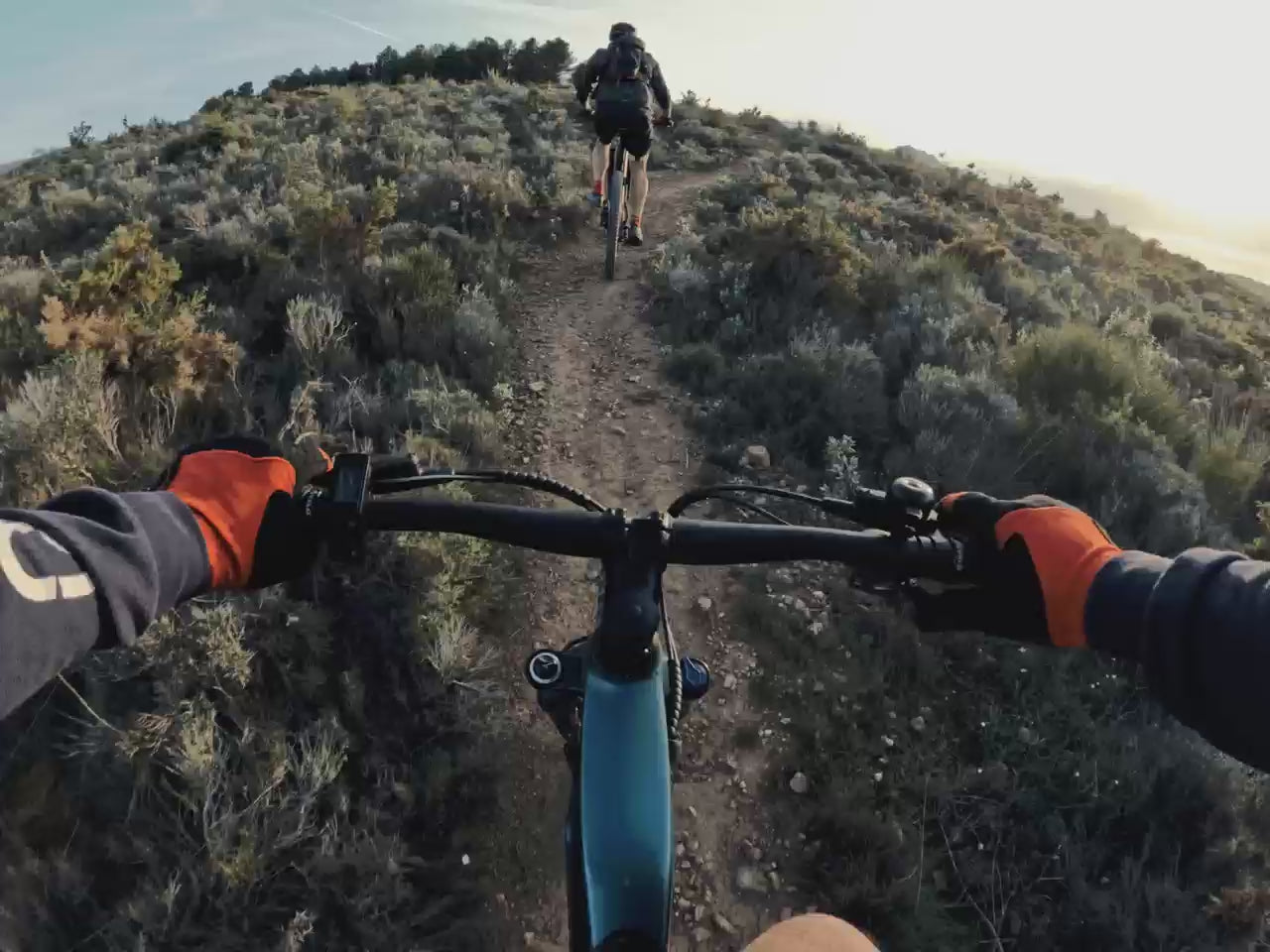 VTT Cobra
