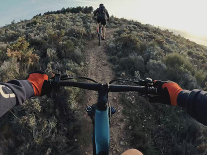 VTT Cobra